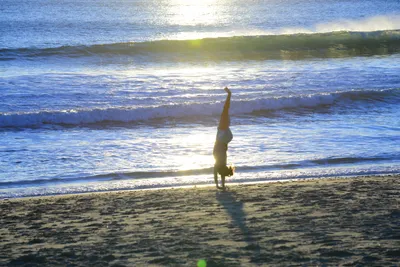 DSC_1252 (Large).JPG